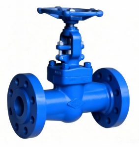 Globe Valve